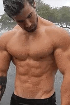 31.gif