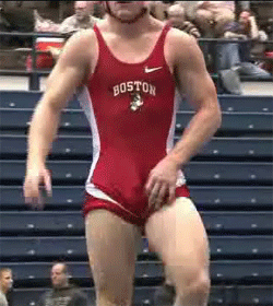 41.gif