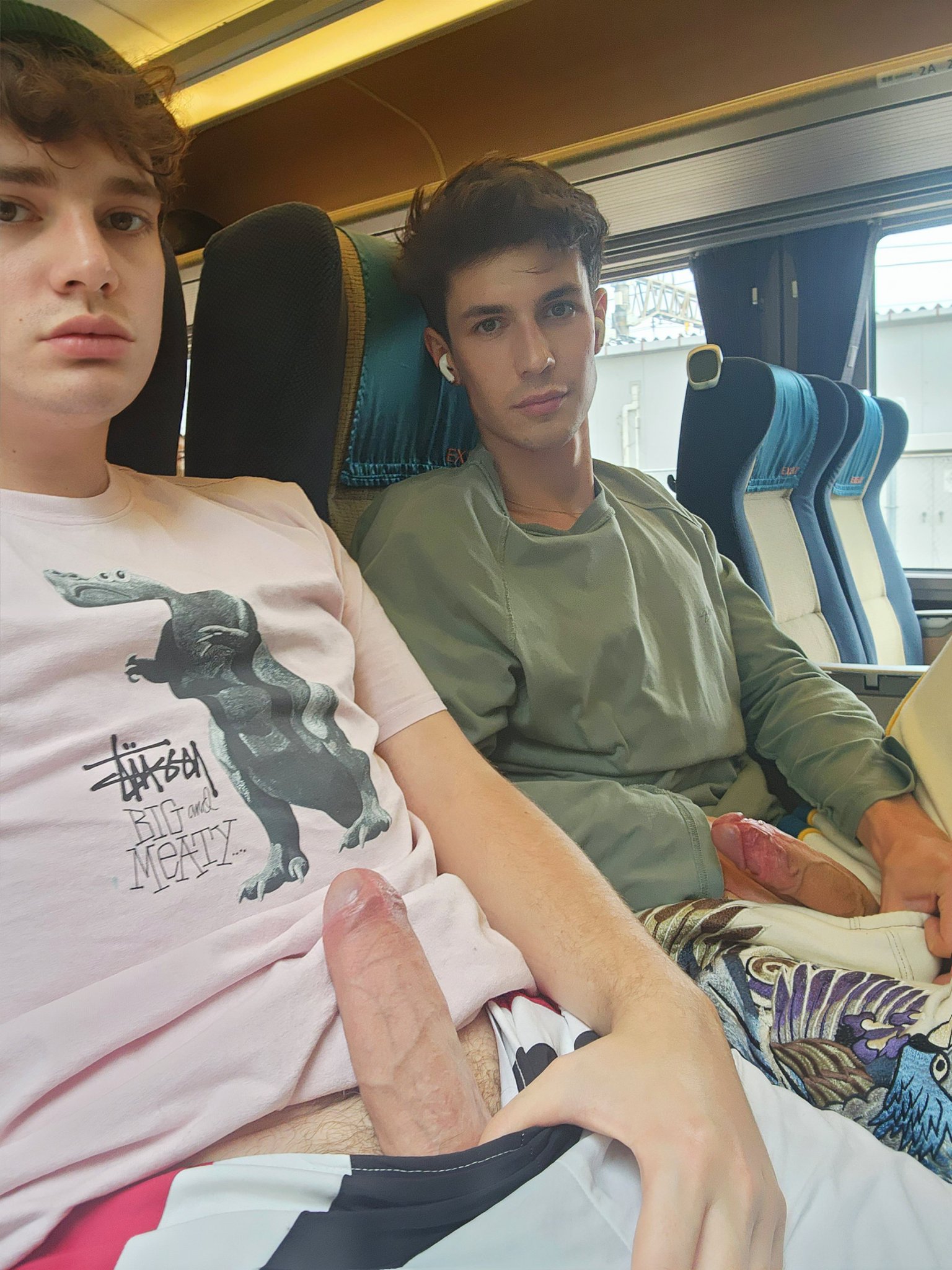 guys-on-a-train-showing-their-cocks.jpeg