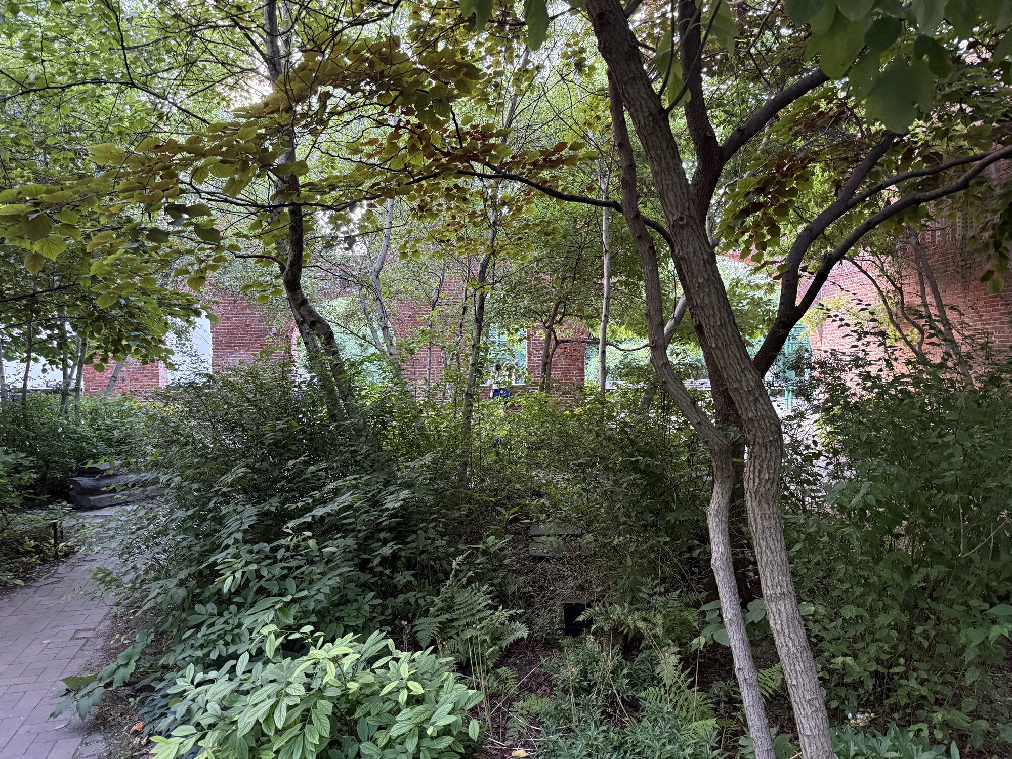 IMG_0172.jpeg