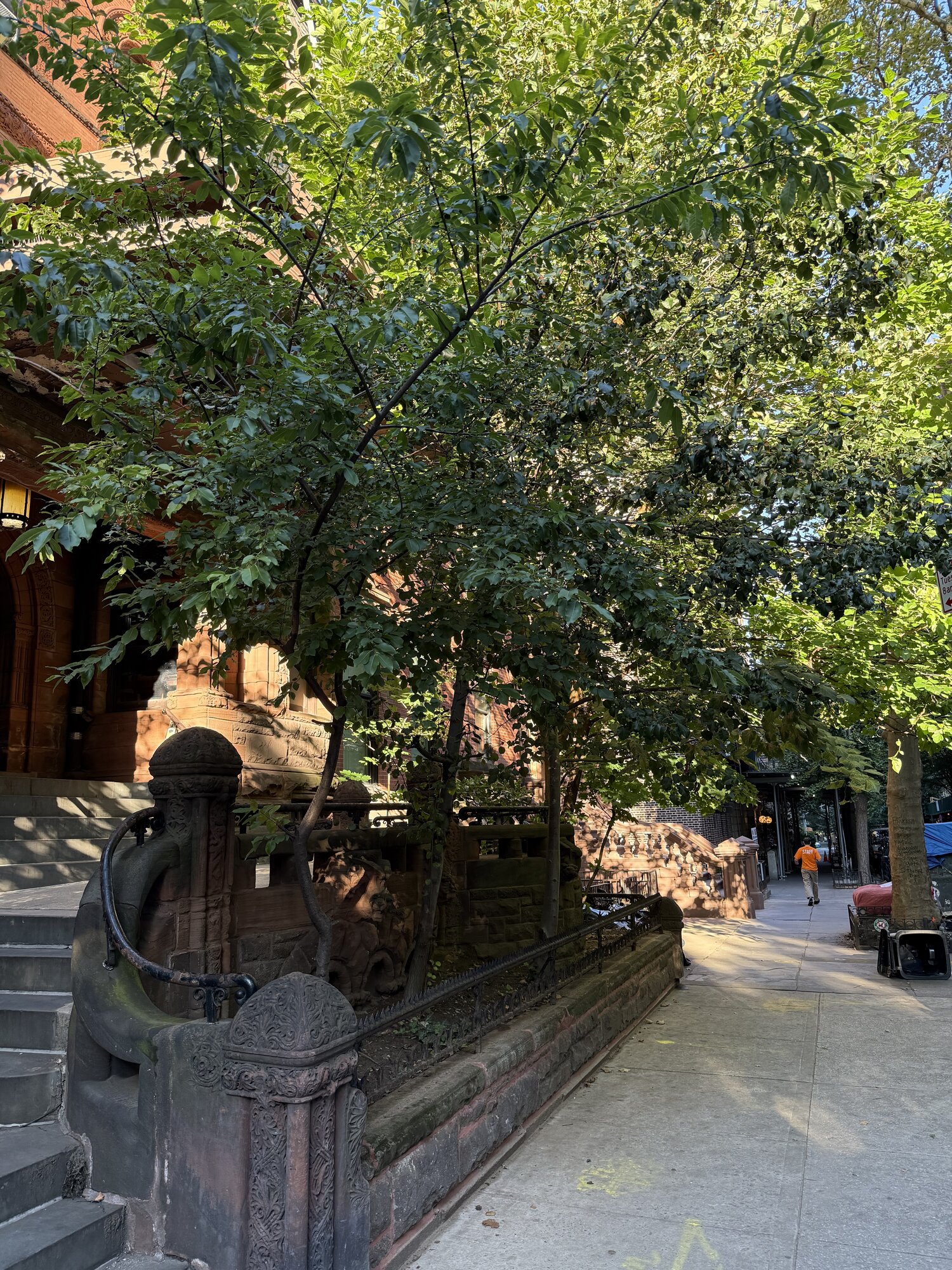 IMG_0316.jpeg