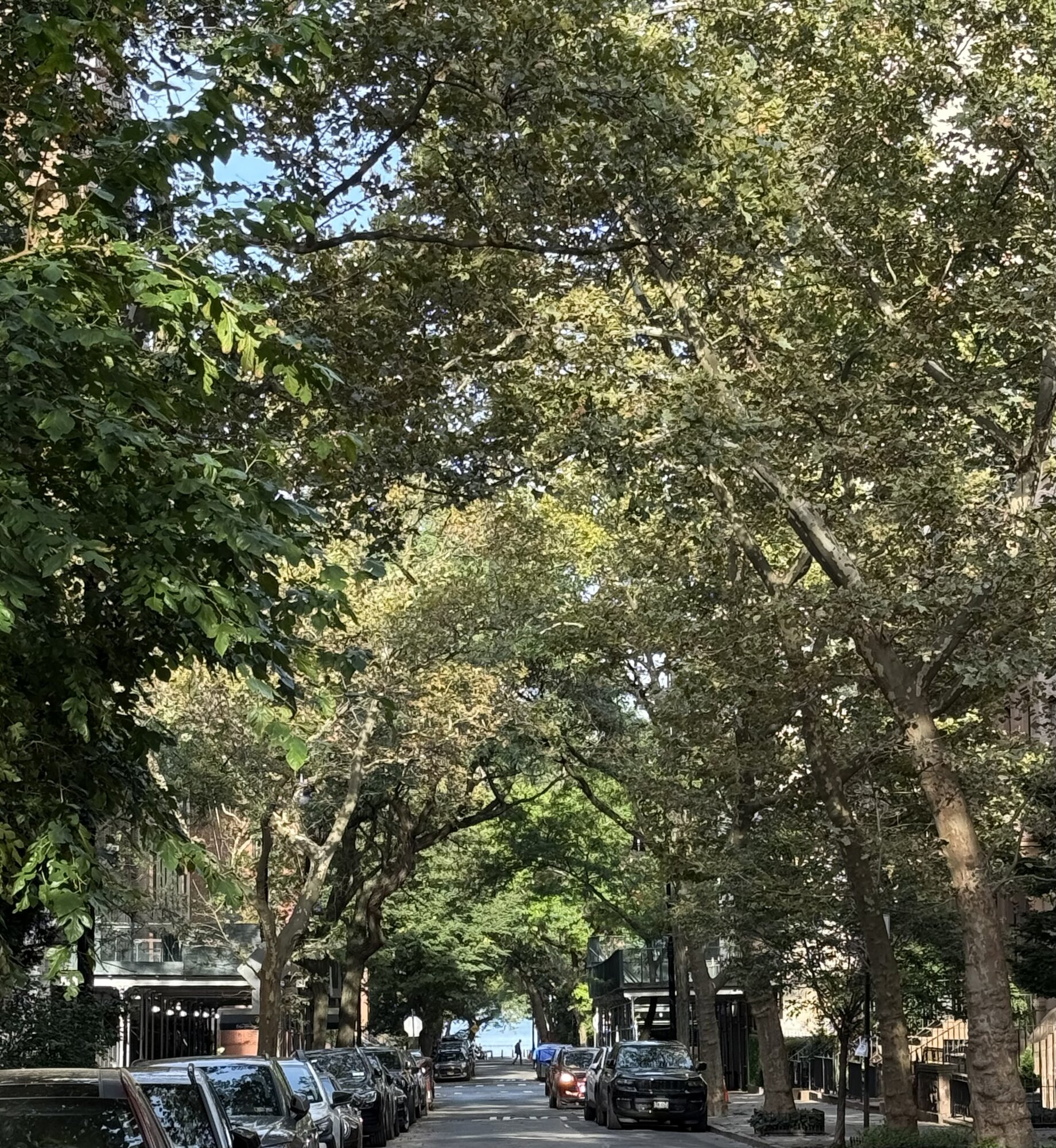 IMG_0435.jpeg