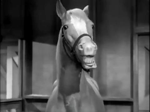 mr ed.jpg