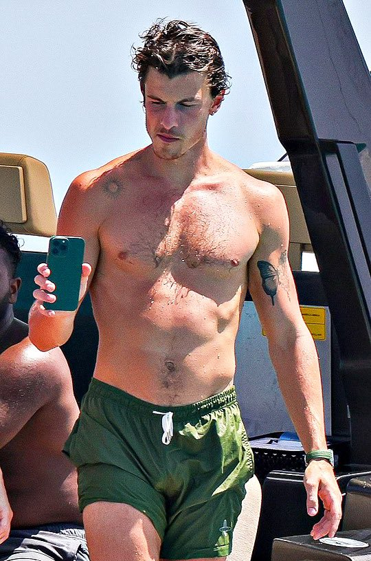 shawn-mendes-shorts-showing-bulge.png