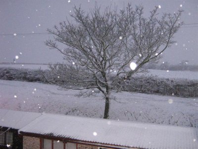 IMG_4302Large.jpg