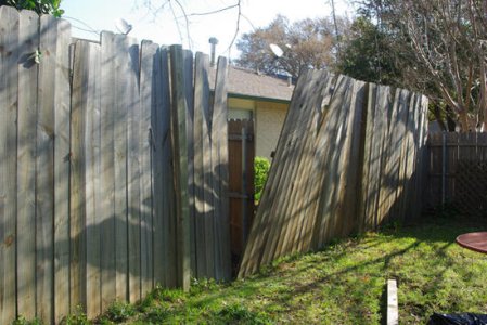 fence.jpg
