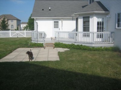 House-spring2007_030.jpg