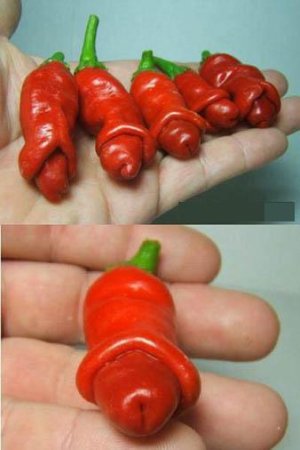 penis_peppers.jpg