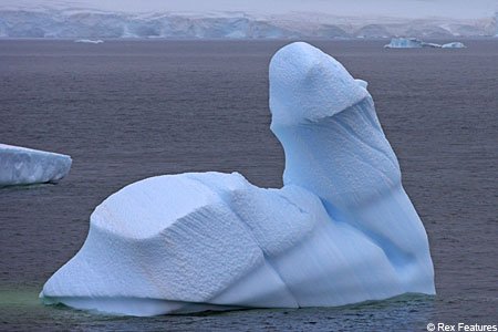 Penis Iceburg.jpg