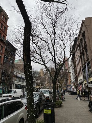 365ADBC4-7694-43C1-88BD-F3979DD43A8B.jpeg 365ADBC4-7694-43C1-88BD-F3979DD43A8B.jpeg