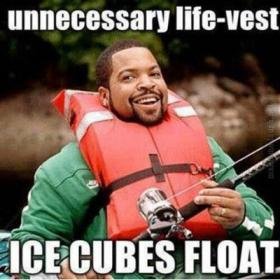 funniest-memes-unnecessary-life-vest-ice-cubes-float.jpg