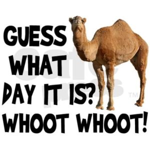 45972-Hump-Day-Camel.jpg