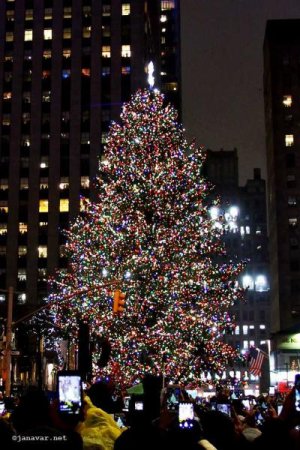 janavar-christmas-2016-rockefeller-center-christmas-tree-1-5.jpg