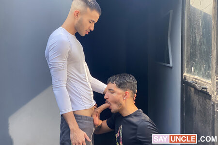 David fb Telex (2).jpg