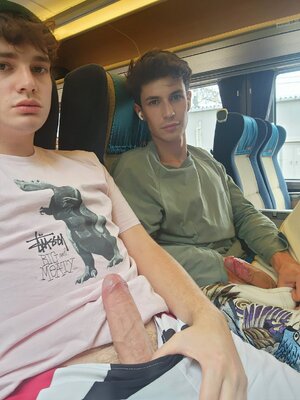 guys-on-a-train-showing-their-cocks.jpeg