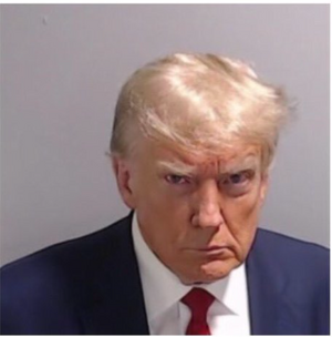 trump mug shot.png