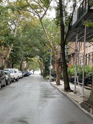 IMG_3950.jpeg IMG_3950.jpeg