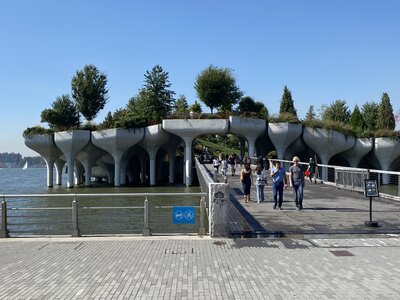 IMG_3980.jpeg IMG_3980.jpeg