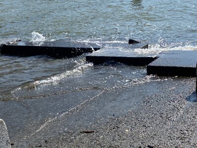 IMG_3976.jpeg IMG_3976.jpeg