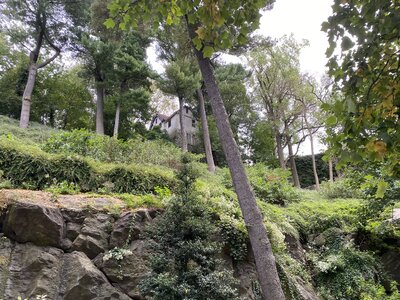 IMG_4002.jpeg IMG_4002.jpeg