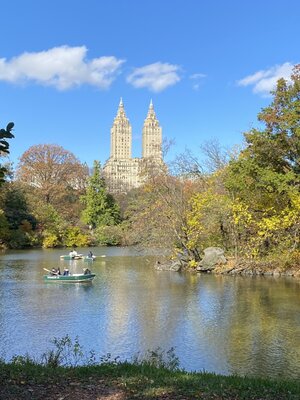 IMG_4047.jpeg IMG_4047.jpeg