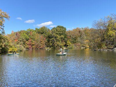 IMG_4048.jpeg IMG_4048.jpeg