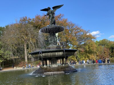 IMG_4052.jpeg IMG_4052.jpeg