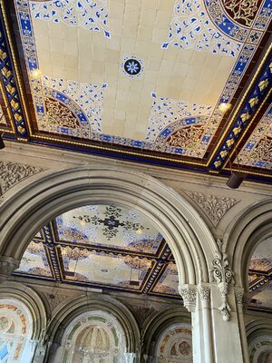 IMG_4053.jpeg IMG_4053.jpeg