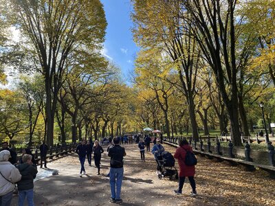 IMG_4055.jpeg IMG_4055.jpeg