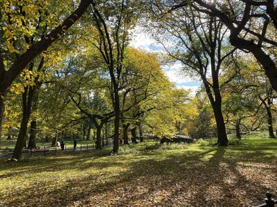 IMG_4058.jpeg IMG_4058.jpeg