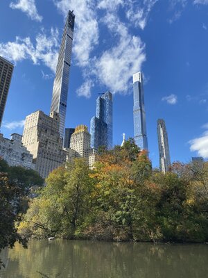 IMG_4075.jpeg IMG_4075.jpeg