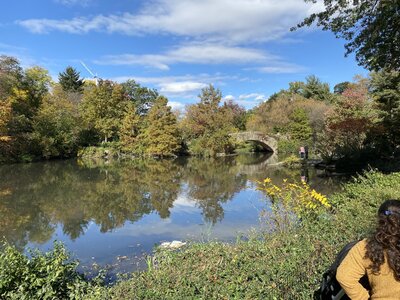 IMG_4076.jpeg IMG_4076.jpeg