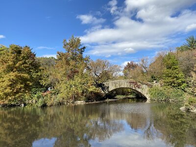 IMG_4078.jpeg IMG_4078.jpeg