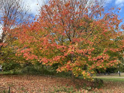 IMG_4081.jpeg IMG_4081.jpeg