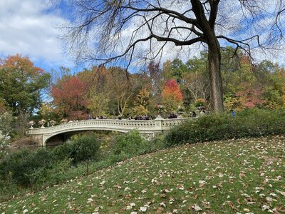 IMG_4082.jpeg IMG_4082.jpeg