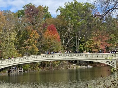 IMG_4083.jpeg IMG_4083.jpeg