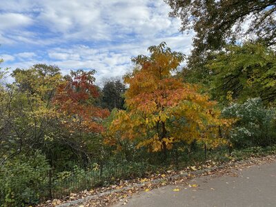 IMG_4089.jpeg IMG_4089.jpeg