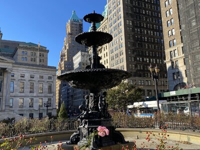 IMG_4164.jpeg IMG_4164.jpeg