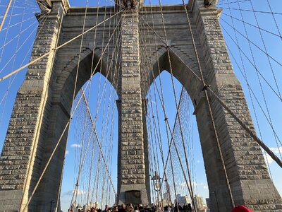 IMG_4239.jpeg IMG_4239.jpeg