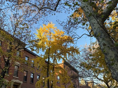 IMG_4244.jpeg IMG_4244.jpeg