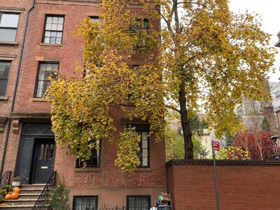 IMG_4248.jpeg IMG_4248.jpeg