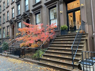 IMG_4250.jpeg IMG_4250.jpeg