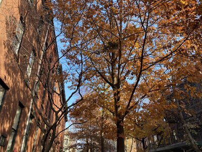 IMG_4267.jpeg IMG_4267.jpeg