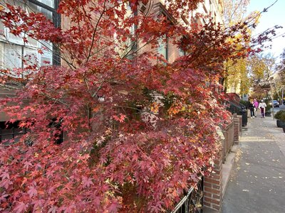 IMG_4266.jpeg IMG_4266.jpeg