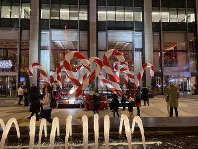 IMG_4281.jpeg IMG_4281.jpeg