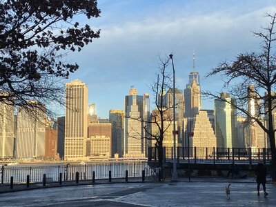 IMG_4346.jpeg IMG_4346.jpeg