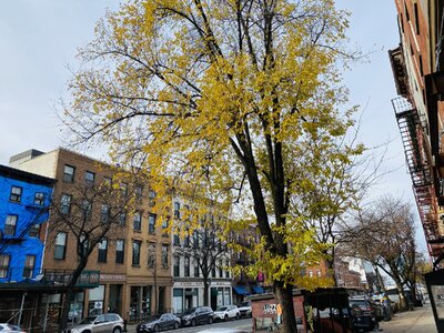 IMG_4355.jpeg IMG_4355.jpeg