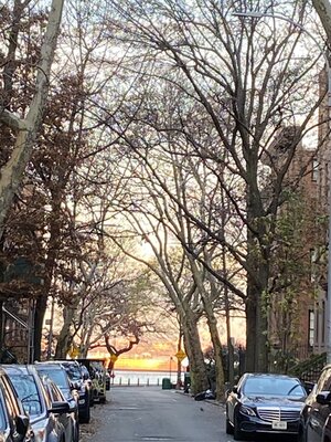 IMG_4358.jpeg IMG_4358.jpeg