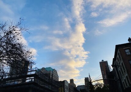 IMG_4360.jpeg IMG_4360.jpeg