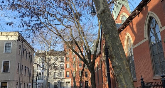 IMG_4370.jpeg IMG_4370.jpeg